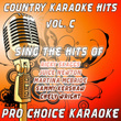 Country Karaoke Hits, Vol. 100