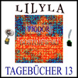 Tagebücher 13 (Der Prozess des Ehepaares Dschunkowskij mit seinen leiblichen Kindern, Eine phantastische Rede des Gerichtsvorsitzenden, Das Richtige und doch nicht das Richtige.)