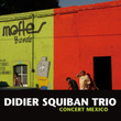Didier Squiban Trio, Concert à Mexico (2008)