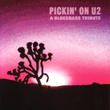 Pickin On U2: A Bluegrass Tribute