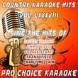 Country Karaoke Hits, Vol. 88