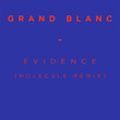 Evidence (Molecule remix)
