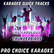 Karaoke Quick Tracks - Sing The Hits Of The Fabulous Thunderbirds (karaoke Version)