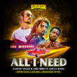 All I Need (feat. Gucci Mane) [DVLM X Bassjackers VIP MIX]