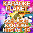Schlager Karaoke Hits, Vol. 14