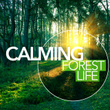 Calming Forest Life
