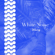 # White Noise Waves