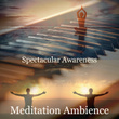 Spectacular Awareness