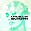 Contemplative Nature Sounds