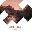 # Neutral Spirits
