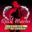 Te Quise Mucho
