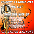Country Karaoke Hits, Vol. 67
