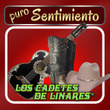 Puro Sentimiento