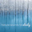 Natural Sounds for Study