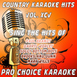 Country Karaoke Hits, Vol. 95