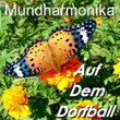 Auf Dem Dorfball
