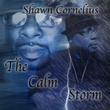 The Calm Storm