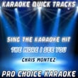 Karaoke Quick Tracks : The More I See You (karaoke Version)