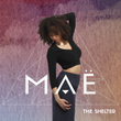 The Shelter