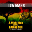 A Wah Mek Dem A Galang Suh (Shake Up Riddim)