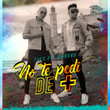 No Te Pedí de Más