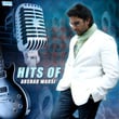 Hits of Arshad Warsi