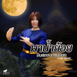 ผาน้ำย้อย (หมอลำ)