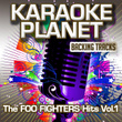 The Foo Fighters Hits, Vol. 1