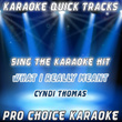 Karaoke Quick Tracks : What I Really Meant To Say (karaoke Version)