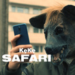 Safari