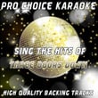 Sing The Hits Of 3 Doors Down (karaoke Version)