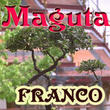 Maguta