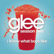 I Know What Boys Like (glee Cast Version)