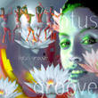Lotus Groove