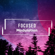 # Focused Modulation