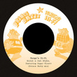 Scrub A Dub Style (prince Fatty Vs. Mungo's Hi-Fi)  - Single