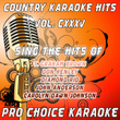 Country Karaoke Hits, Vol. 135