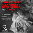 Flamenco (remix)