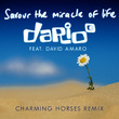 Savour the Miracle of Life (Charming Horses Remix)