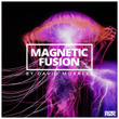 Magnetic Fusion