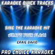 Karaoke Quick Tracks : What's Your Flava (karaoke Version)