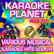 Various Musical Karaoke Hits, Vol. 24