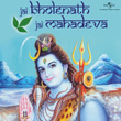 Jai Bholenath Jai Mahadeva