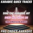 Karaoke Quick Tracks : Bend Me, Shape Me (karaoke Version)
