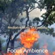 Meditative Music for Focusing
