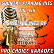 Country Karaoke Hits, Vol. 53