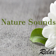 Nature Sounds Relax