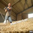 Whole Lotta Crops
