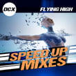 Flying High (Speed Up Mixes)