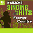 Karaoke: Forever Country - Singing To The Hits